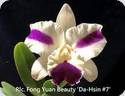 Rlc. Fong Yuan Beauty Da Hsin 7